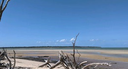 obrázek - Traviston Park