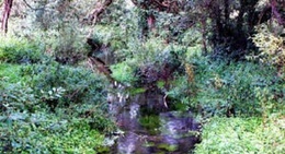 obrázek - Emsworth Nature Reserve