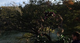 obrázek - HCAF Point Theater