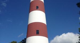 obrázek - Assateague Island Lighthouse