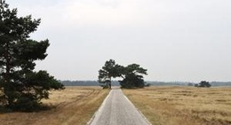 obrázek - Nationaal Park De Hoge Veluwe