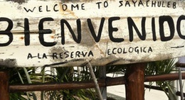 obrázek - Sayachuleb