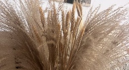 obrázek - 25 St Khalifa City A