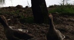 obrázek - Inešu ezers.