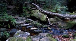 obrázek - Grand Canyon Track