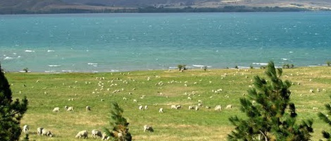 obrázek - Otematata