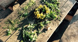 obrázek - Lapenīte . ✌