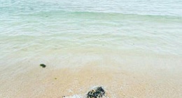 obrázek - Santa Ana