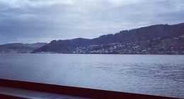 obrázek - Otago Peninsula