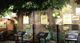 obrázek - Hobbs State Park - Conservation Area