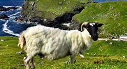 obrázek - Slieve League