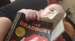 obrázek - Alger Heights