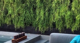 obrázek - Spa Avandaro