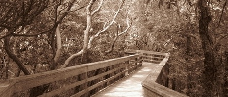 obrázek - Pine Knoll Shores