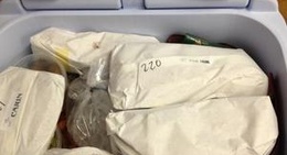 obrázek - The Pilot House