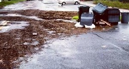 obrázek - Saint Marys Pavilion