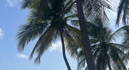 obrázek - Magazine Beach