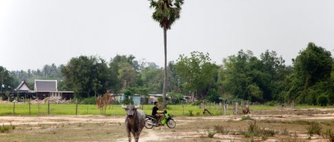 obrázek - Ban Huai Yai