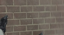 obrázek - Pietonala Dorohoi