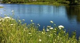 obrázek - Orland, ME