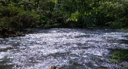 obrázek - Pigeon Forge Entrance