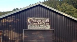 obrázek - Bison Creek Ranch