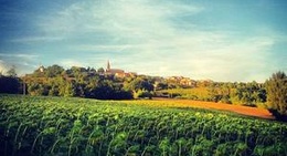 obrázek - Le Temple-sur-Lot