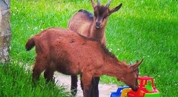 obrázek - Santa Sofia