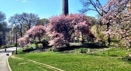 obrázek - Central Park Loop