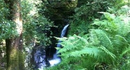 obrázek - Poulanass Waterfall