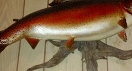 obrázek - Norfolk Cafe