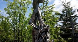 obrázek - Lotharpfad