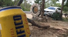 obrázek - tacos de guisado