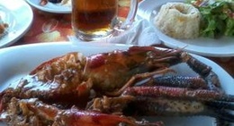 obrázek - Rocinante