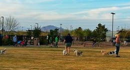 obrázek - Bark Park At Heritage Park