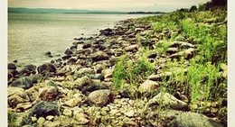 obrázek - North Channel Drive