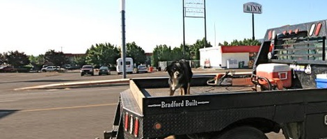 obrázek - La Grande