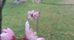 obrázek - Poem Wall (常德诗墙公园)