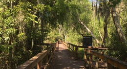 obrázek - Lafitte's Barataria Museum & Wetland Trace