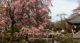 obrázek - Gifu Park (岐阜公園)