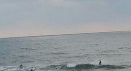 obrázek - Jack Beach