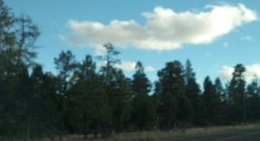 obrázek - Murderville