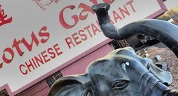 obrázek - Lotus Garden