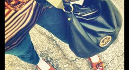 obrázek - Hammerschmidt