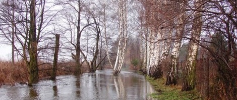 obrázek - Pruszków