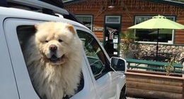 obrázek - Camp Shasta Coffee