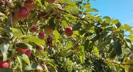 obrázek - Domaine de la Source à Marguerite