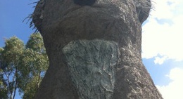 obrázek - The Giant Koala