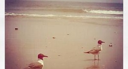 obrázek - 2nd St Beach