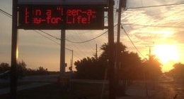obrázek - Looe Key Dive Resort